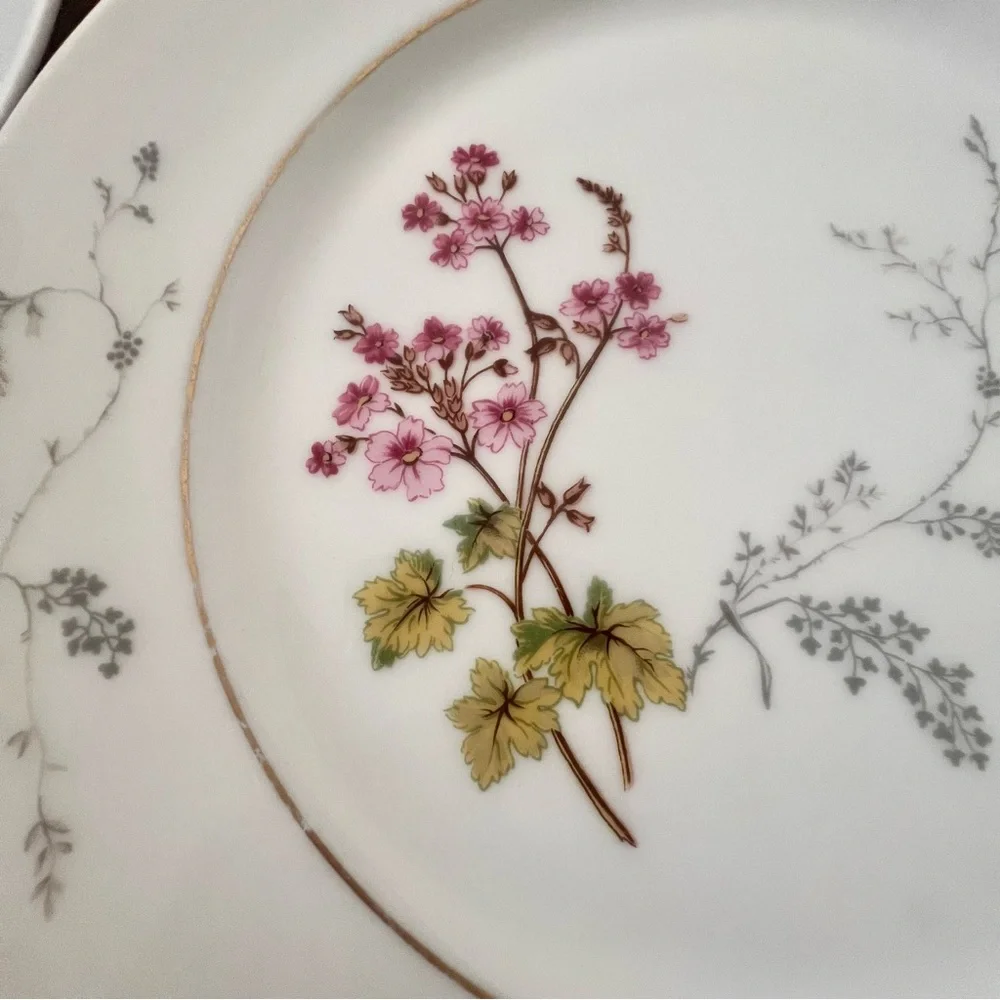 5 PCs Charles Field Haviland Limoges Spring Blossom Dinner Plates 10